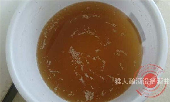 「蒸酒設(shè)備」大米生料發(fā)酵完成，酒醅成茶色