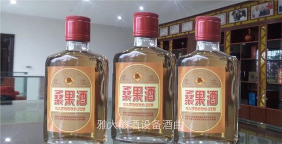 是什么讓雅大白酒生產(chǎn)設(shè)備學(xué)員小王走上桑果酒的釀造之路？