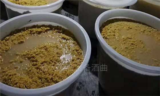 生料釀酒設(shè)備用熟料可以嗎？都可以燒的電加熱釀酒設(shè)備有嗎？-02