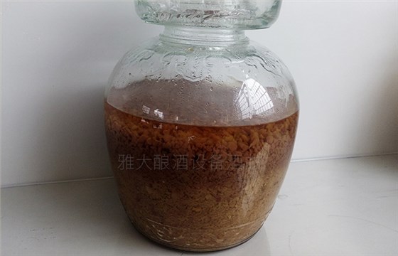 紅棗酒怎么做？用小型酒廠釀酒設(shè)備制作紅棗酒方法-05-紅棗酒釀酒-發(fā)酵后期