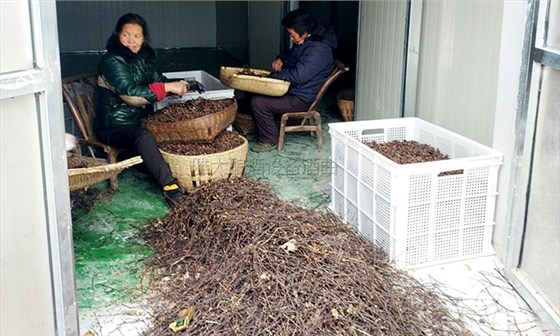 40噸拐棗急需發(fā)酵怎么辦？雅大電加熱釀酒設(shè)備蔣老師上門指導(dǎo)！-03