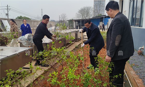 3-12雅大胡董事長(zhǎng)帶領(lǐng)員工植樹