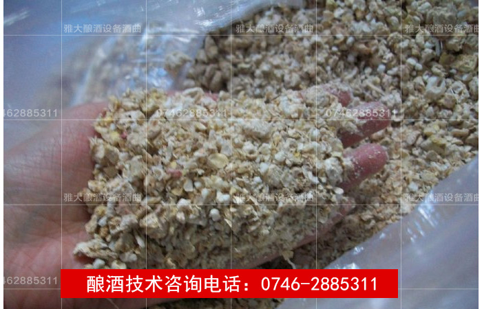 【雅大燒酒設備釀酒教學】玉米生料釀酒技術(shù)