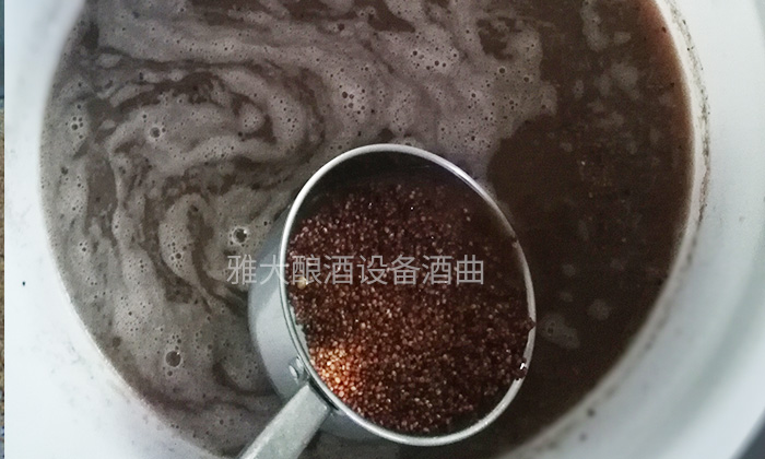 9.8用釀白酒設(shè)備制作無(wú)糠殼高粱釀酒技術(shù)-泡糧