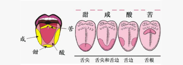 糧食釀酒設(shè)備—白酒勾調(diào)品評(píng)常見(jiàn)問(wèn)題答疑-02