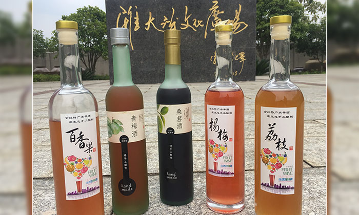 雅大多功能釀酒設(shè)備做水果酒