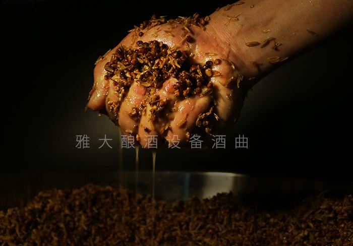 夏季用純糧釀酒設(shè)備做酒一不小心就變酸了，怎么辦？ 4