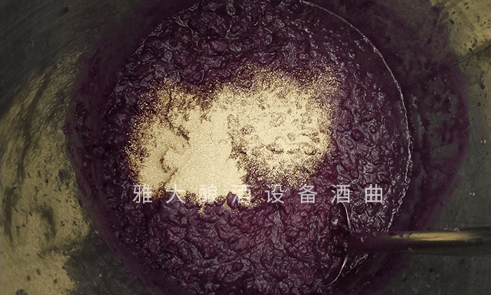 想做紫薯酒，口感好嗎？紫薯釀酒設(shè)備技術(shù) 6